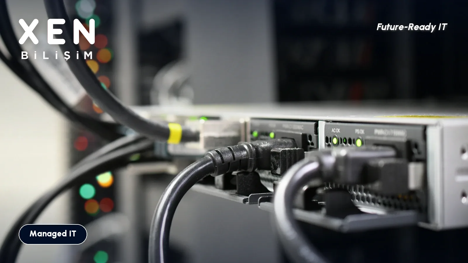 Cables plugged into network equipment, office move IT preparation — Xen Bilişim