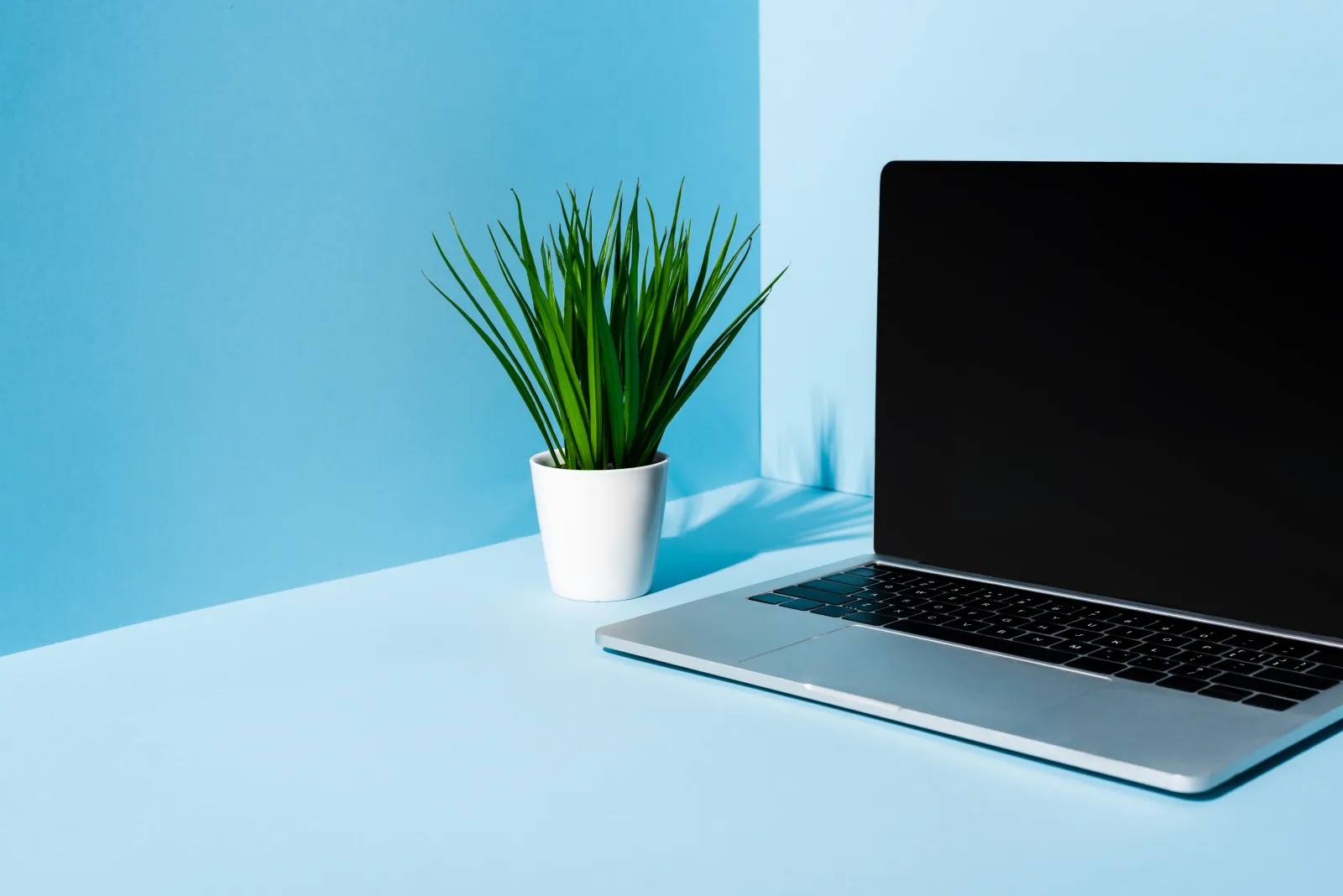 Microsoft 365 secure, flexible, productive — Xen Bilişim