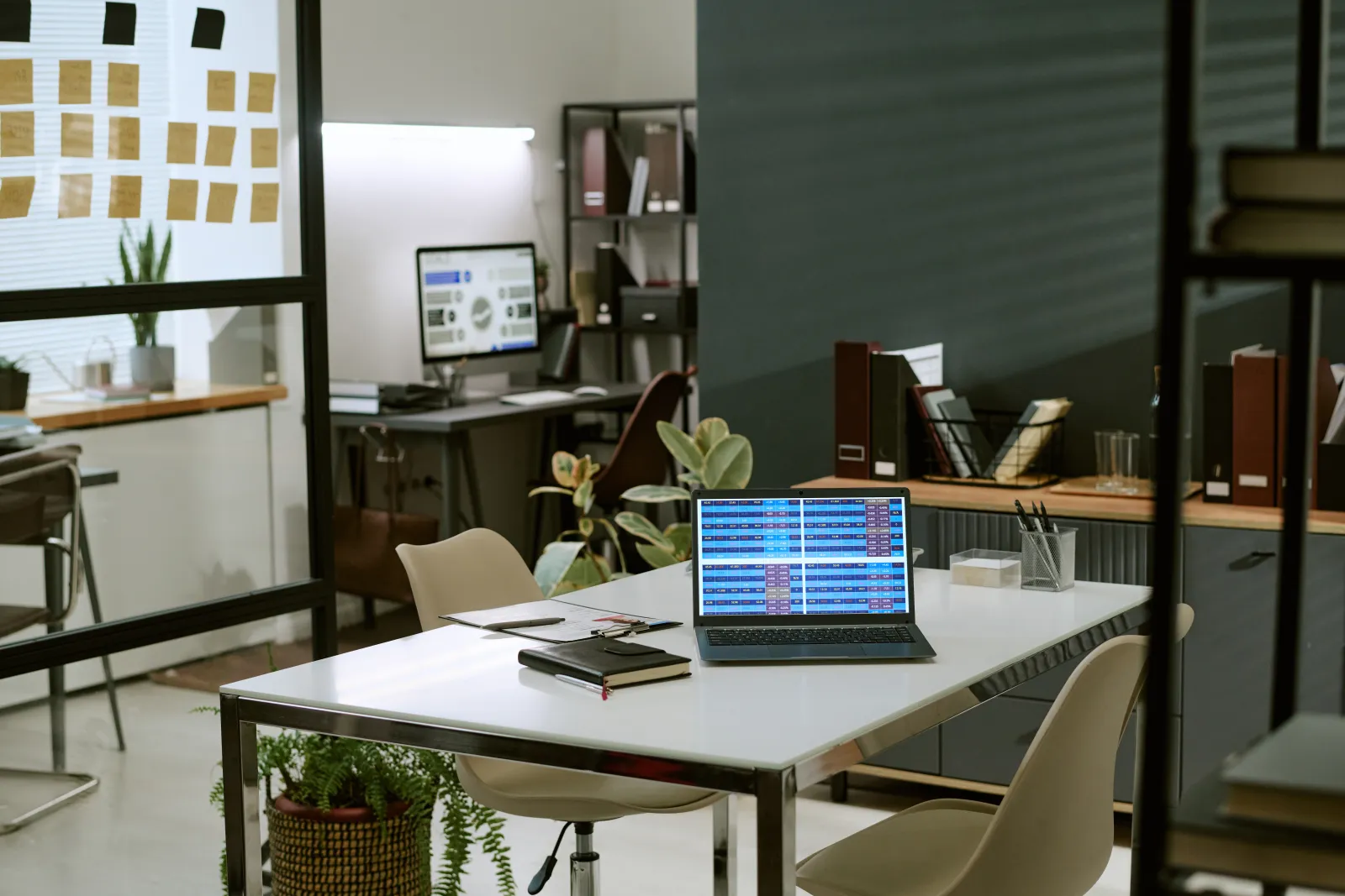 Microsoft 365 plans, pricing, expert support — Xen Bilişim