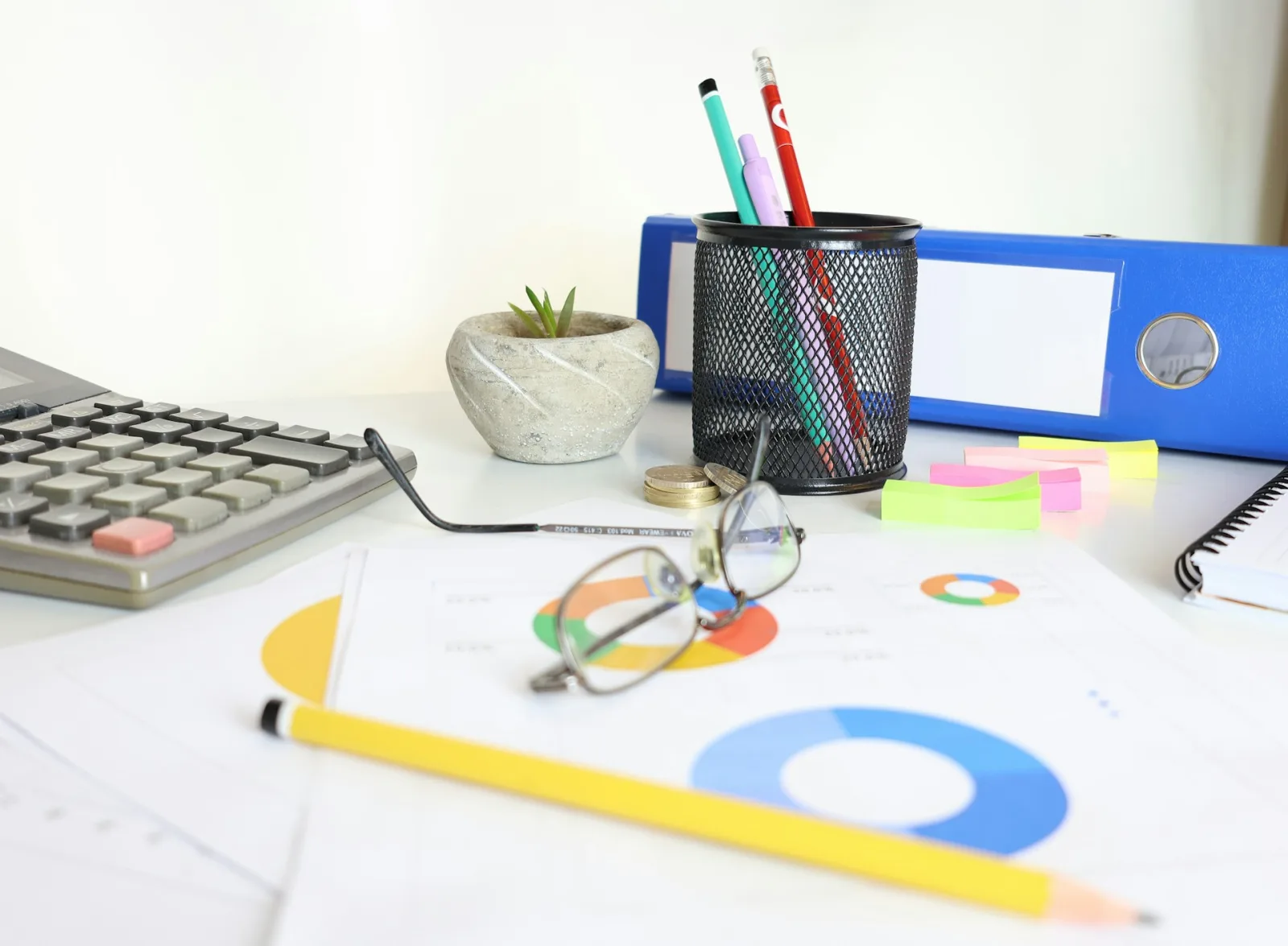 IT for Accounting Firms (Mali Müşavir)